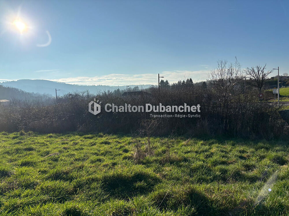 Vente Terrain SAINT  VICTOR SUR RHINS - Terrain de 1396 m² Saint victor sur rhins