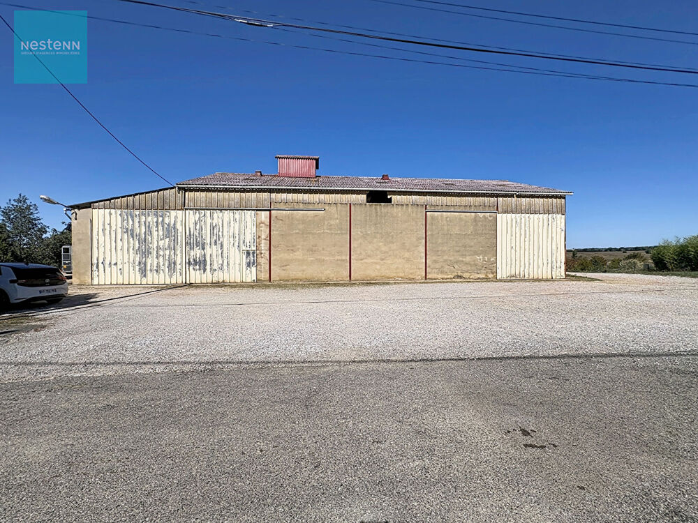   Entrepôt 404m2 avec grand terrain de 3000m2 à louer à Ségreville 31460 Segreville