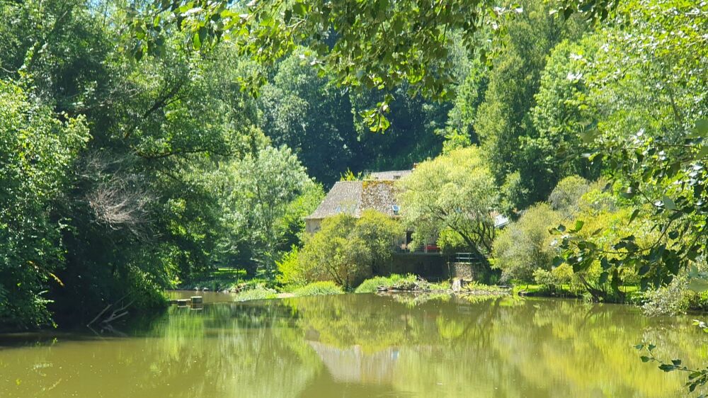 Vente Maison Magnifique moulin rénové dans un écrin de verdure Rignac