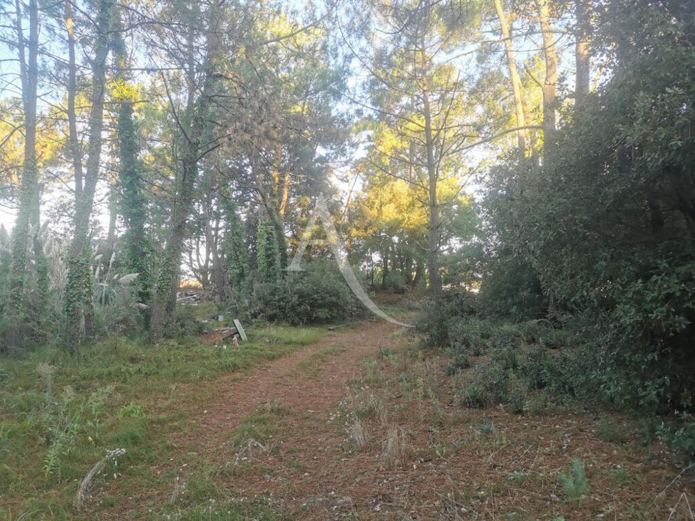 Vente Terrain Terrain Saint Jean De Monts Saint jean de monts