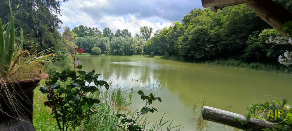 Maison fuste 4 ch avec terrain de 2,5 ha