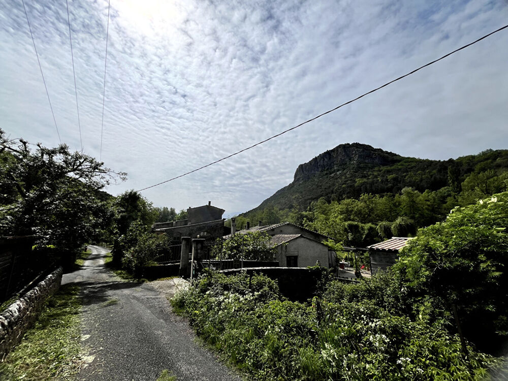 Vente Maison Magnifique Moulin du XVIIIe 1,6 Hectare de Sérénité avec Cours d'Eau Saint hippolyte du fort