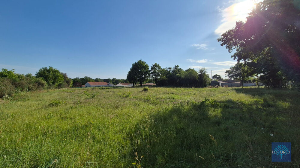 Vente Terrain Terrain partiellement viabilisé 3780m² Saint maixent sur vie Saint maixent sur vie
