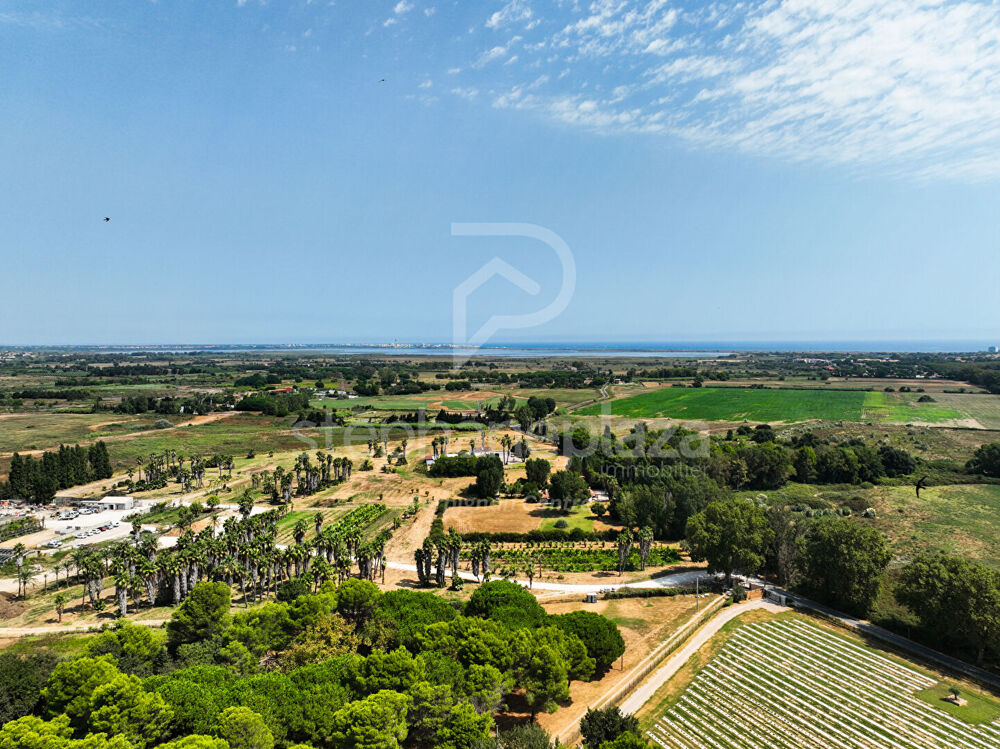 à vendre  Maison Saint-Cyprien (66750)