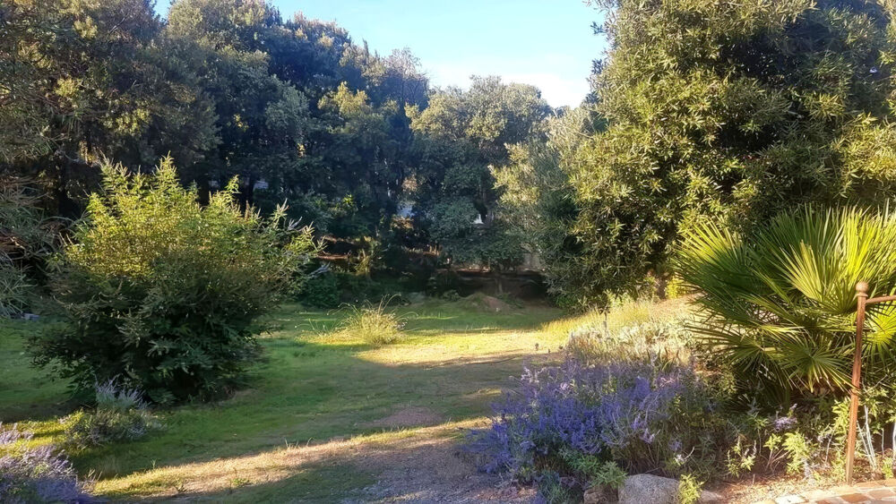 Vente Terrain Terrain Saint Aygulf 1000 m2 Saint aygulf
