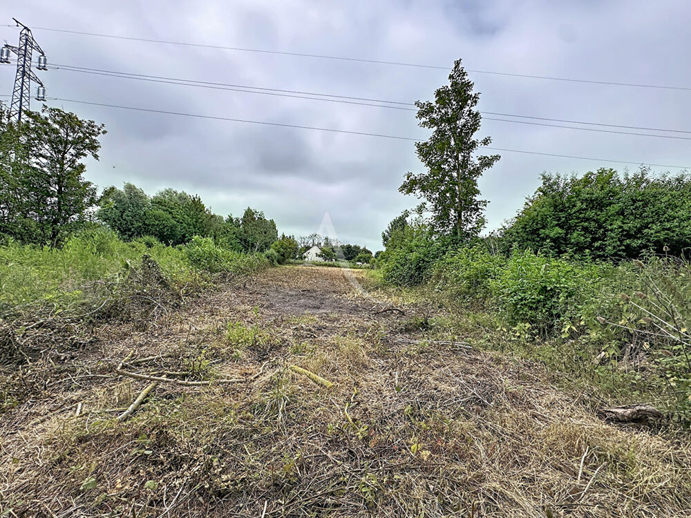 Vente Terrain Terrain à batir Coulogne