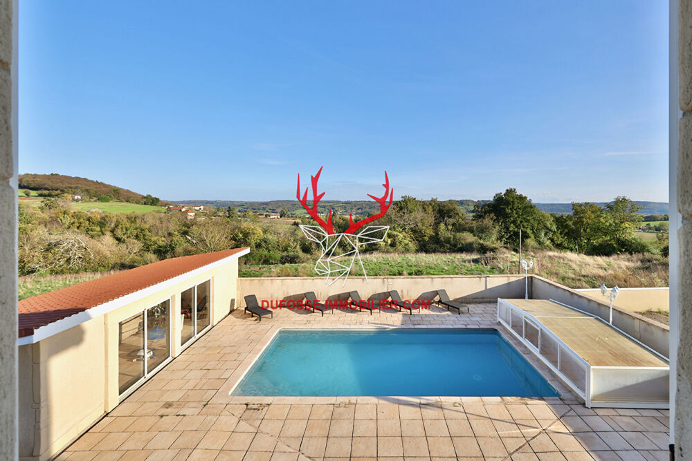 � vendre  Maison Saint-Georges-d'Esp�ranche (38790)