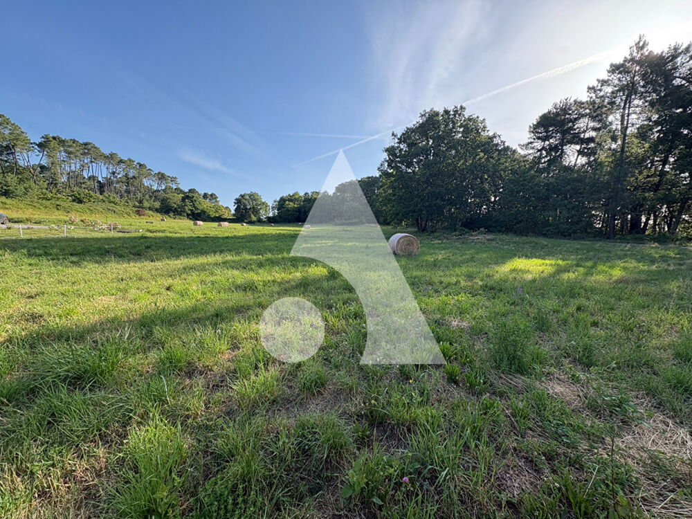 Vente Terrain Terrain Mercuer 1064 m2 Mercuer