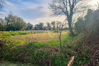  Terrain à vendre 382 m²