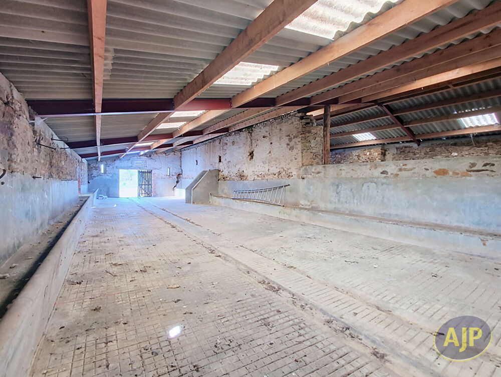 Belle grange en pierre sur + 1800 m²