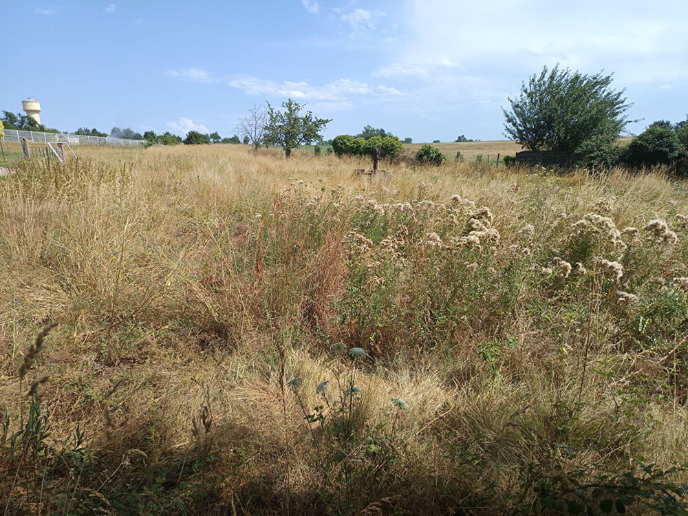 Vente Terrain Terrain Bellegarde Marsal 2346 m2 Bellegarde marsal