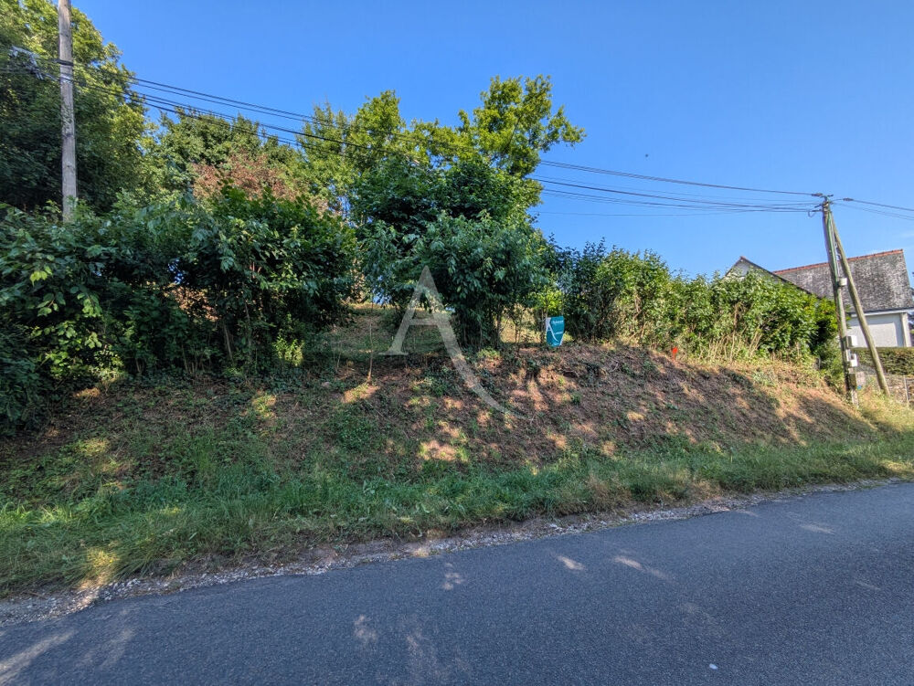 Vente Terrain ONZAIN - 20 KMS DE BLOIS - 20 KMS D'AMBOISE Veuzain sur loire