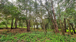  Terrain  vendre 2516 m