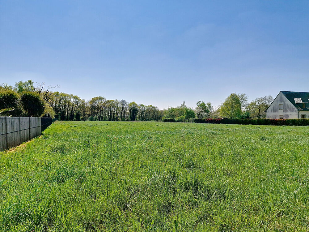 Vente Terrain Terrain Ploermel 720 m2 Ploermel