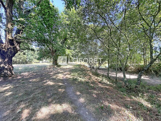  Terrain à vendre 16500 m²