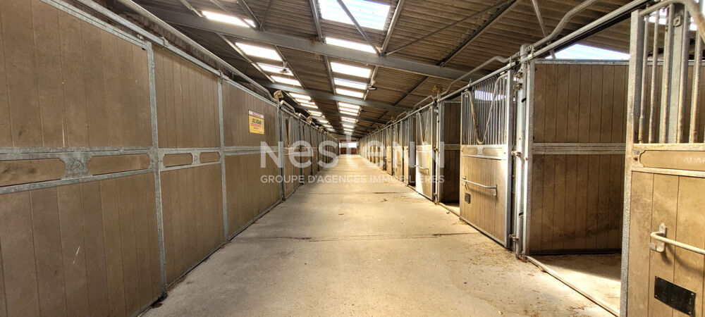 Complexe équestre professionnel avec habitations et infrastructures haut niveau. 15 hectares