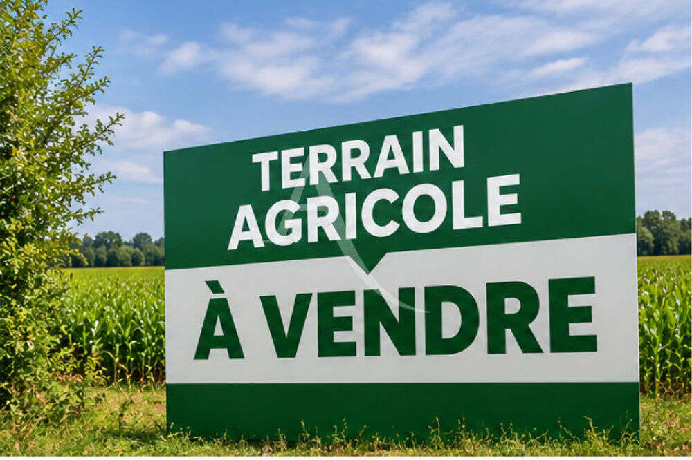 Vente Terrain TERRAIN ST JULIEN 46773m2 AGRICOLE ET LOISIRS Saint julien
