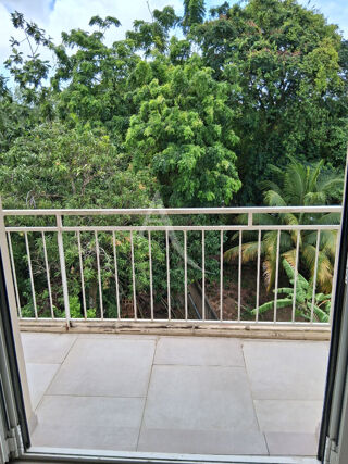  Appartement à louer 1 pièce 30 m²
