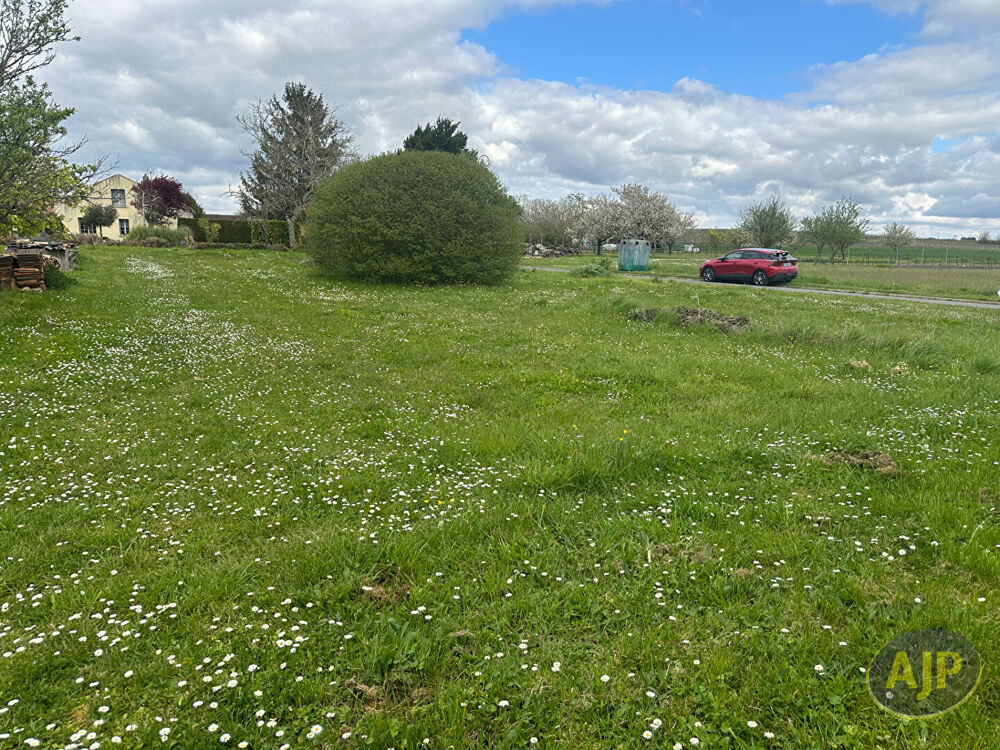 Vente Terrain Terrain Saint Seurin De Palenne 779 m2 Saint seurin de palenne