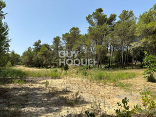  Terrain  vendre 3037 m