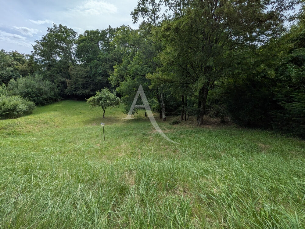Vente Terrain ONZAIN - 20 KMS DE BLOIS - 20 KMS D AMBOISE Veuzain sur loire