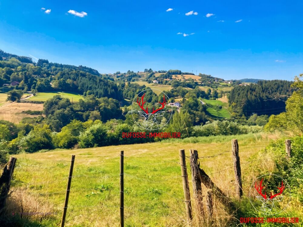 Vente Terrain GRAND TERRAIN CONSTRUCTIBLE AVEC VUE PANORAMIQUE - COURS (69470) Cours