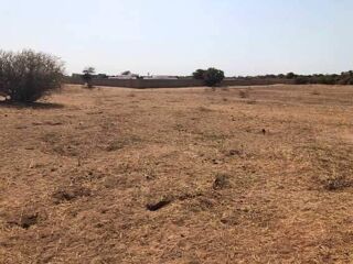  Terrain � vendre 1 m� Saly