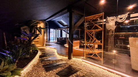   Loft Epinal  + activité rémunératrice. 