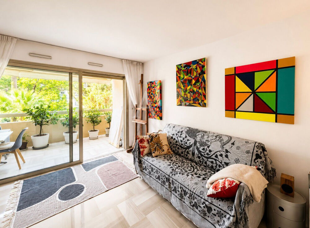 Vente Appartement Limite Banane superbe studio avec terrasse sud Cannes