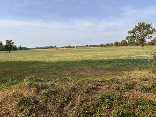  Terrain � vendre 14475 m�