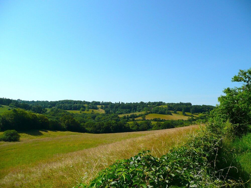 � vendre  Villa Causse-et-Di�ge (12700)