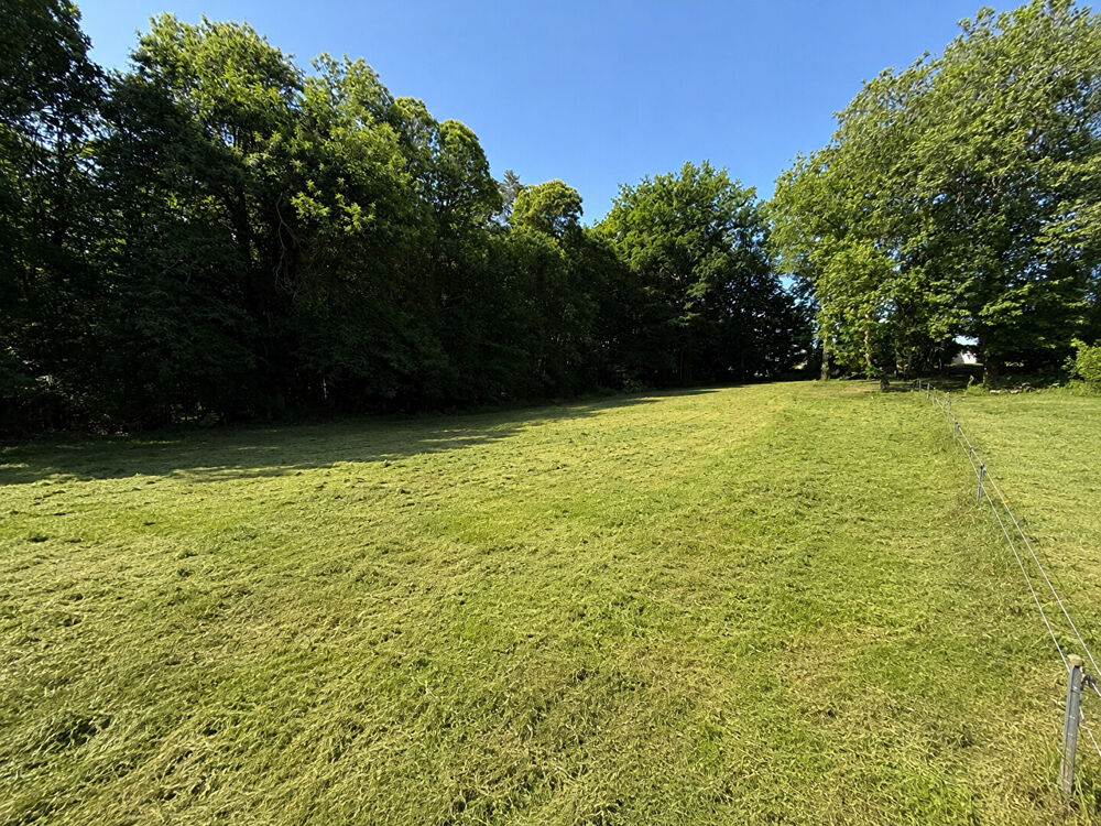Vente Terrain Terrain Trelissac 1502 m2 Trelissac