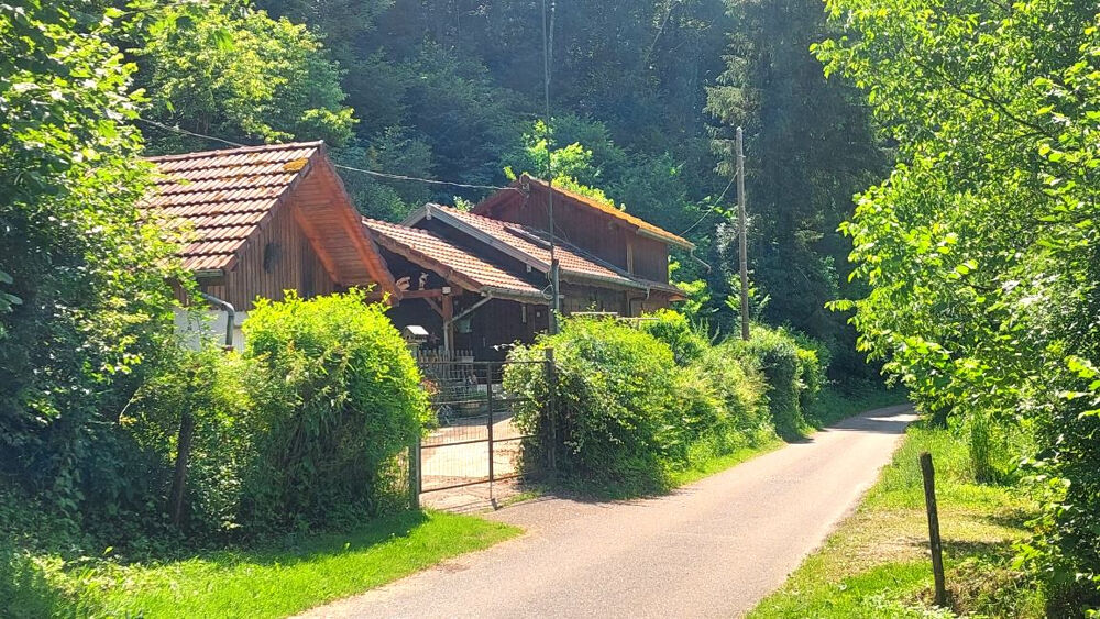 Vente Maison Chalet  5 pièces 70 m2 en pleine nature, 1227m2 de terrain avec garage Glere