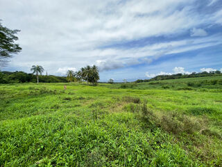  Terrain � vendre 1000 m�