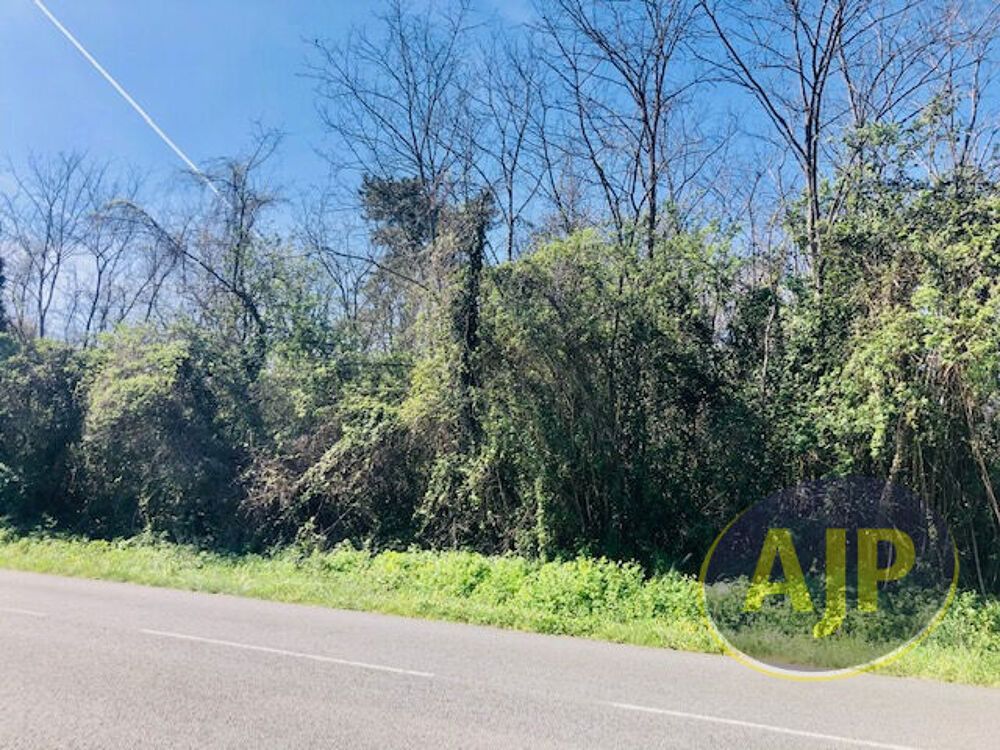 Vente Terrain Terrain Saint Germain D Esteuil 5903 m2 Saint germain d esteuil