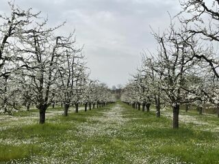  Terrain � vendre 1 pi�ce 1 m�