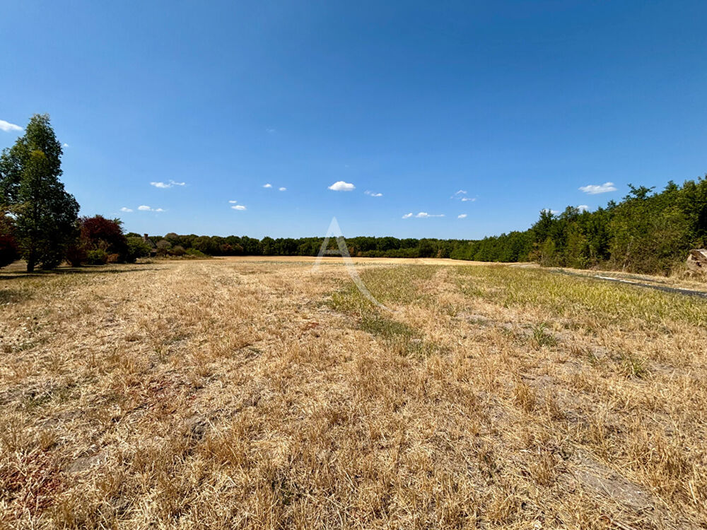 Vente Terrain Terrain Chemery  3410 m² Chemery