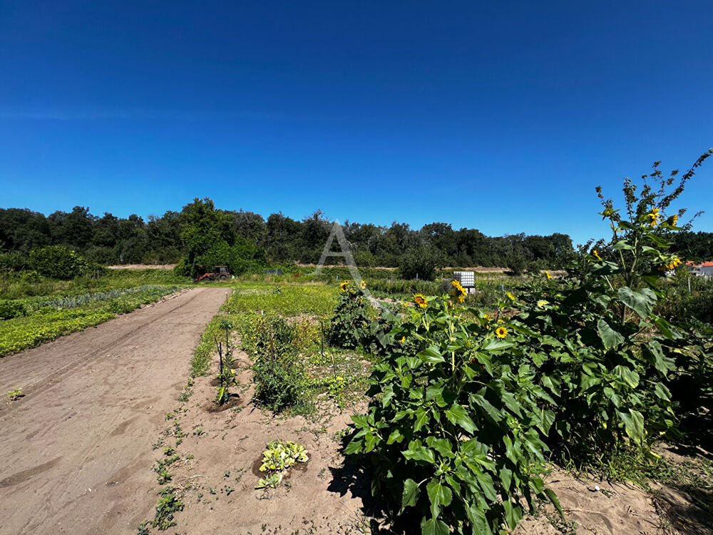 Vente Terrain Terrain de loisirs Longeville Sur Mer Longeville sur mer