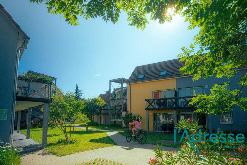 Vente Appartement Rez de jardin 2 pièces 40 m² : BAIL COMMERCIAL Ingersheim