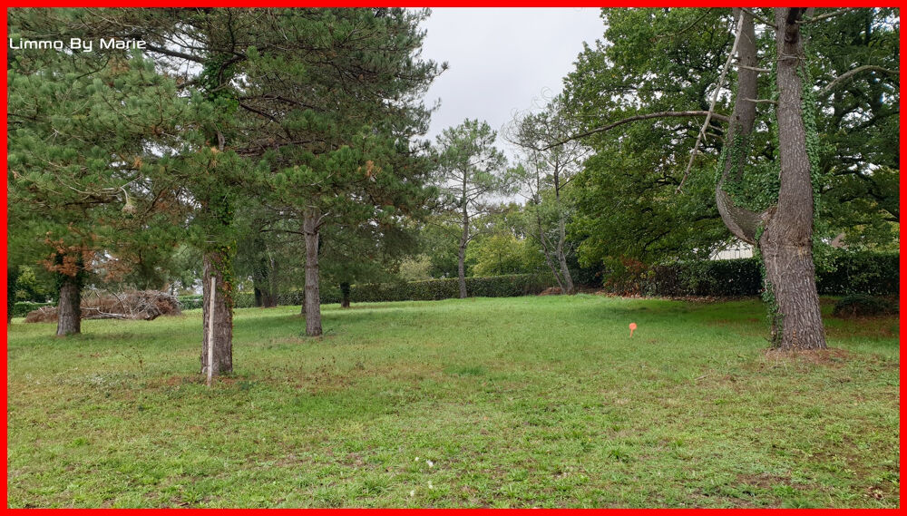 Vente Terrain Terrain Guemene Penfao 1840 m2 Guemene penfao