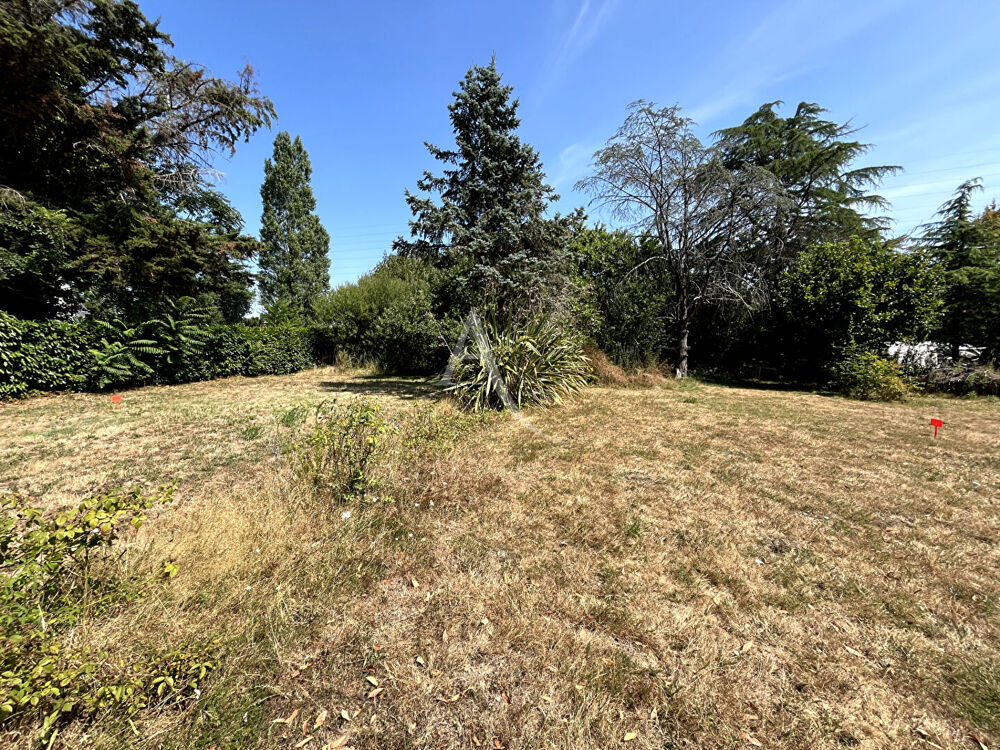 Vente Terrain Terrain Vannes Vannes