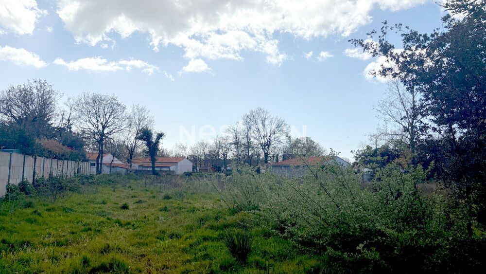 Vente Terrain Terrain Boisé de 2500m² - Libre de Constructeur ! Saint hilaire de riez