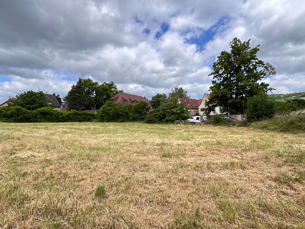 Vente Terrain Terrain constructible de 8,80 ares � Mutzig - Secteur Hermolsheim Mutzig