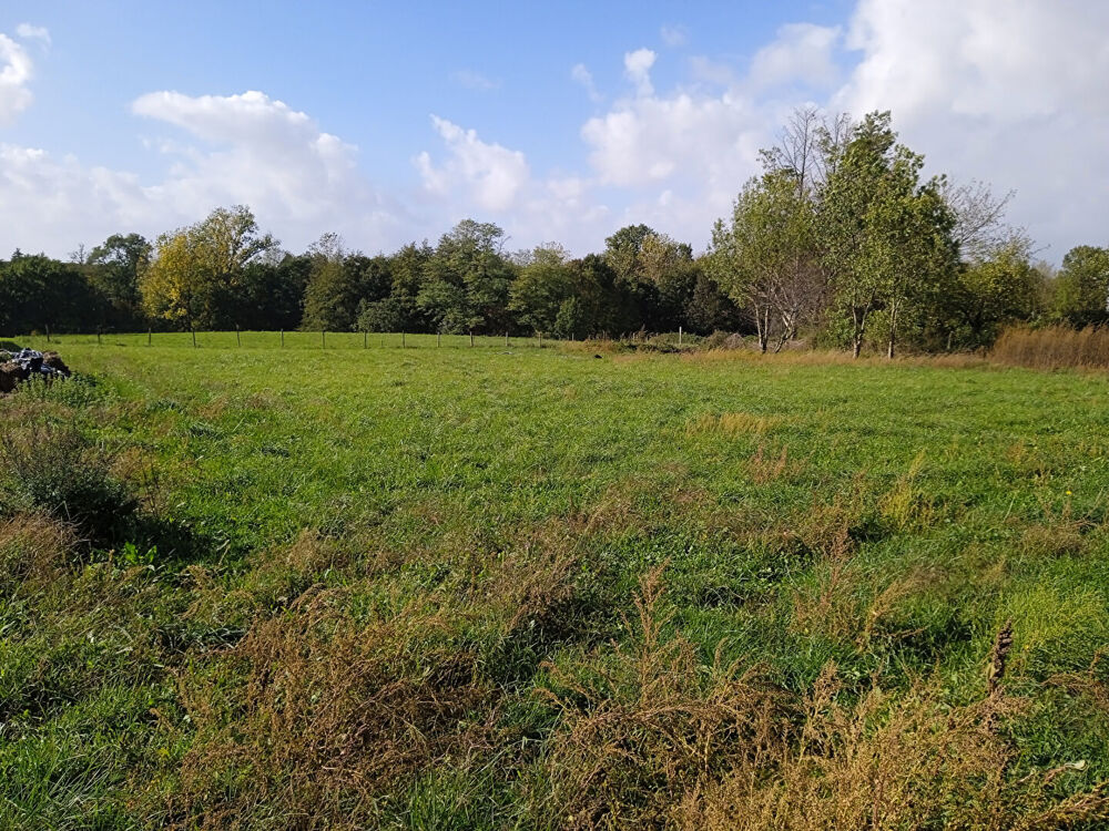 Vente Terrain A VENDRE TERRAIN A BATIR VIABILISÉ DE 996 M2 - VAL-DE-LIVENNE Saint ciers sur gironde