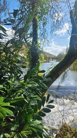  Maison � vendre 9 pi�ces 235 m�