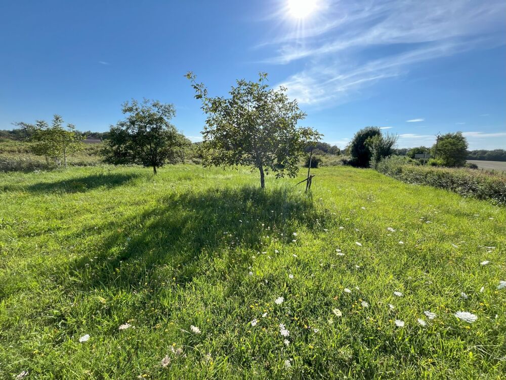 Vente Terrain Terrain constructible 1221 m² - 01190  BOISSEY Boissey