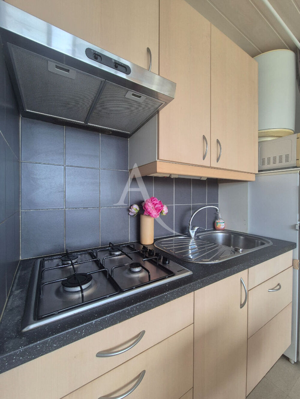 Appartement Balaruc-les-bains 1 pièce(s) 21 m²+ parking+ cave