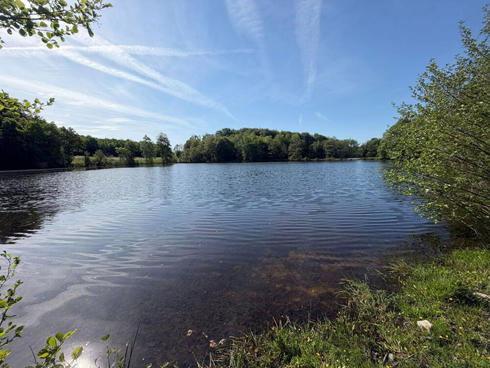 CREUSE - Superbe propriété de campagne avec un étang de pêche à la carpe d'environ 2,5 hectares et plus de 22 hectares de terrai