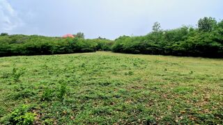  Terrain � vendre 4151 m�