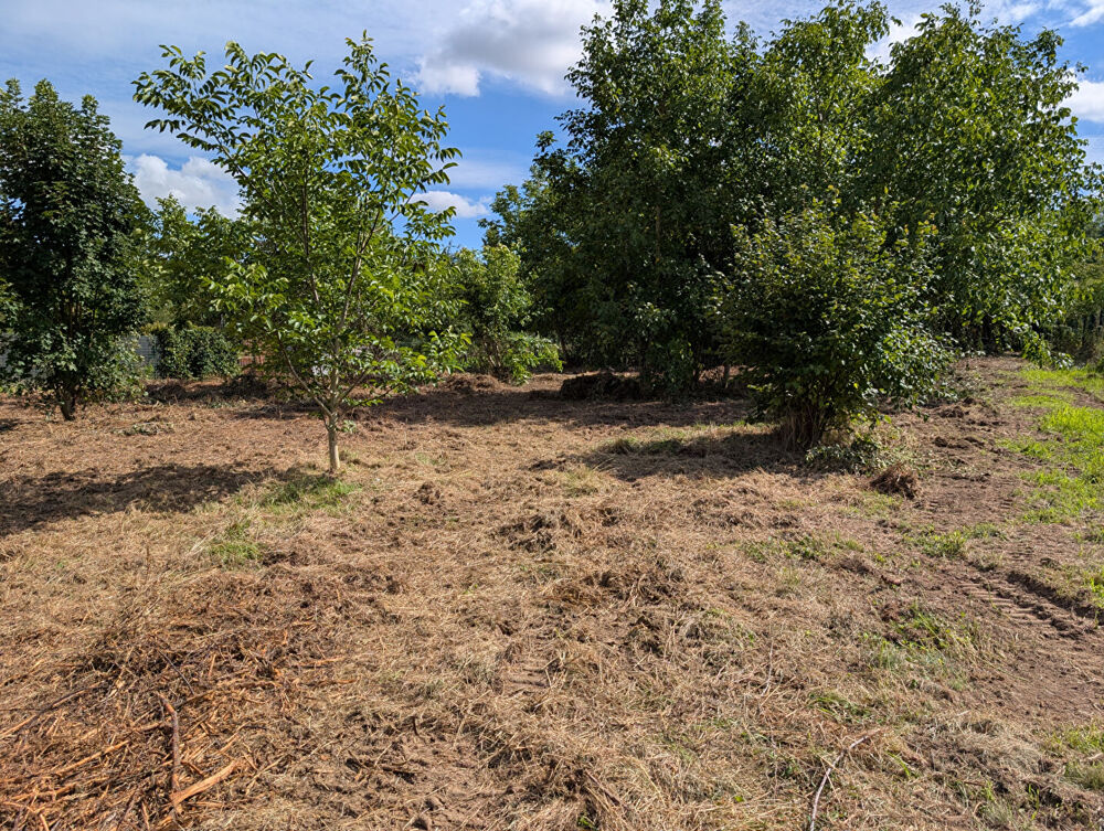 Vente Terrain Terrain à vendre à Nanteuil-lès-Meaux (77100)  1043 m² viabilisé  Exposition plein Sud Nanteuil les meaux